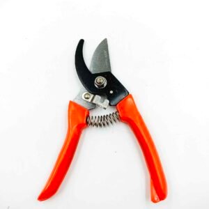 pruning Shears